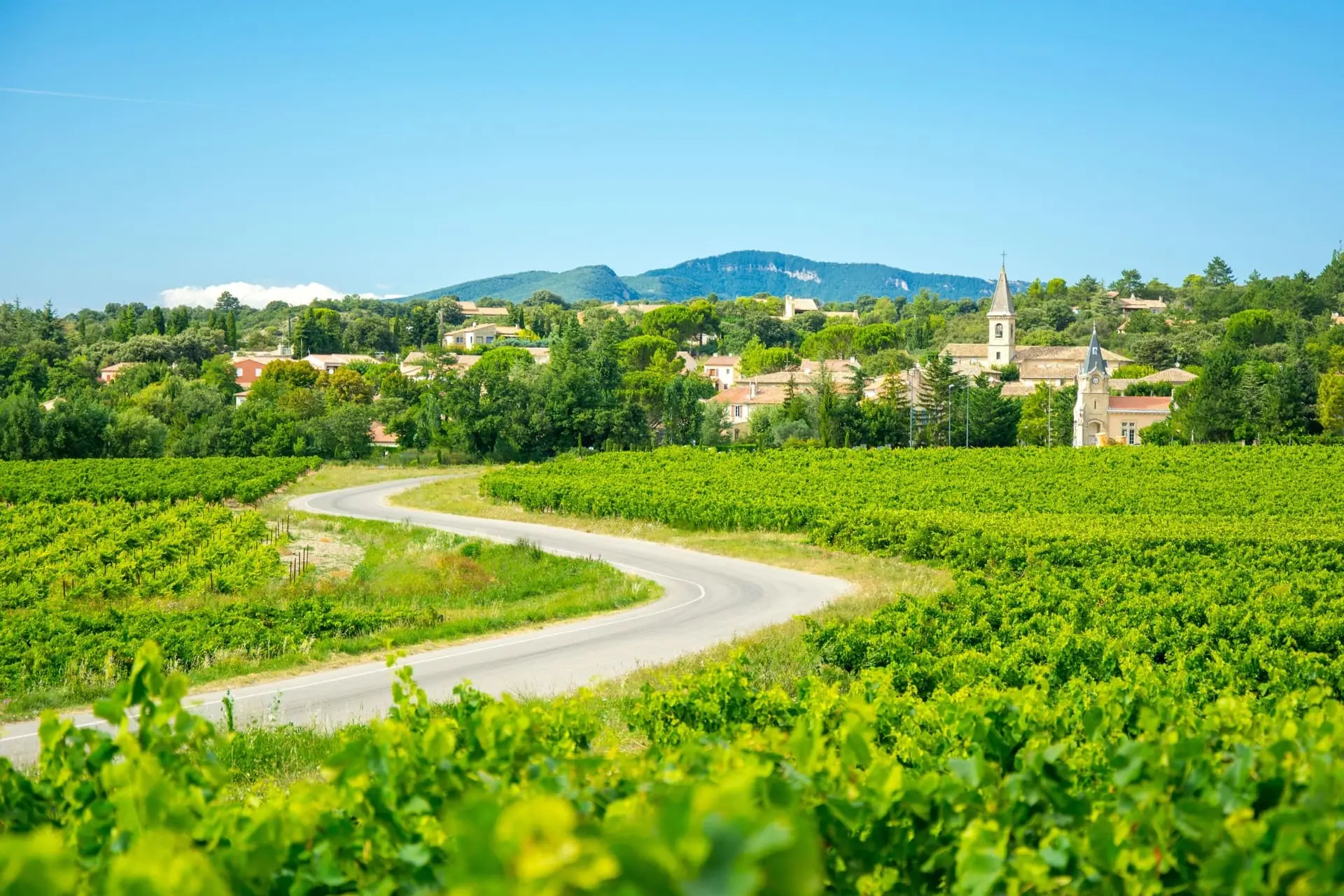 route des vins en Provence